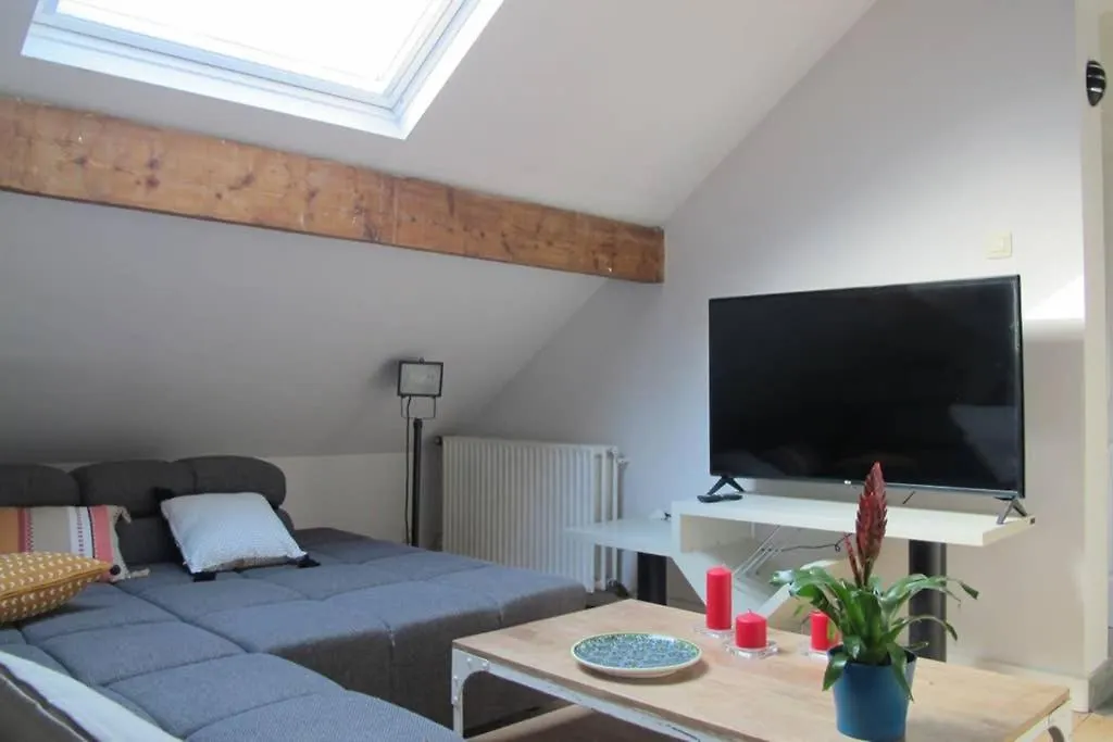 Apartmán Brussels Downtown 0*,  Belgie